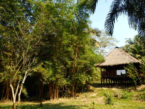 Corto Maltes, Amazonia.